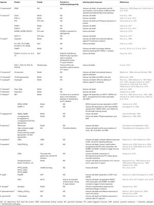 Apoplastic Cell Death-Inducing Proteins of Filamentous Plant Pathogens: Roles in Plant-Pathogen Interactions